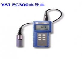YSI EC300型盐度、电导和温度测量仪